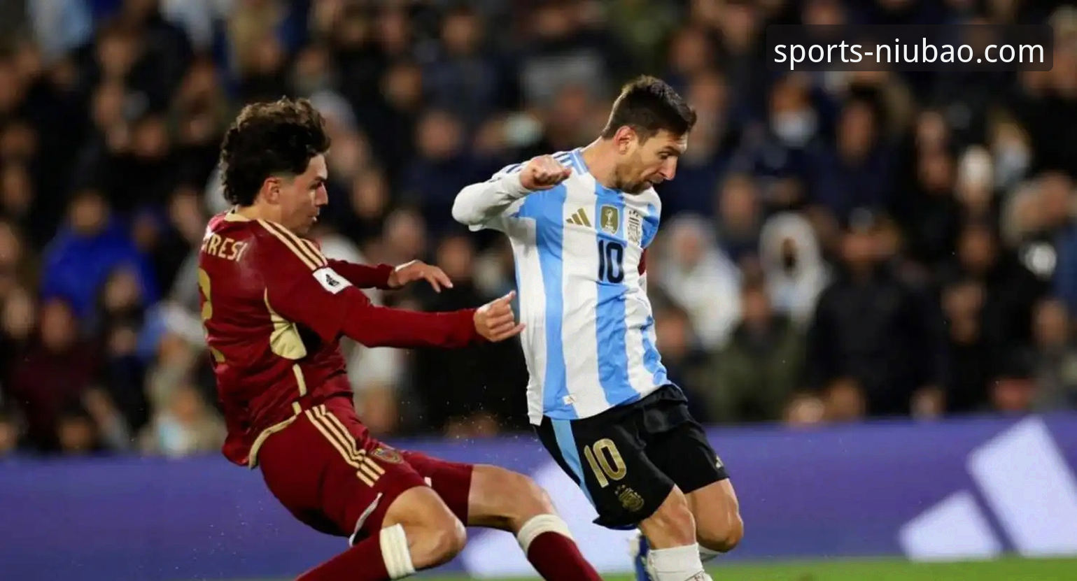 阿根廷世界杯备战突遭重创，新星帕尼切利伤退最新分析